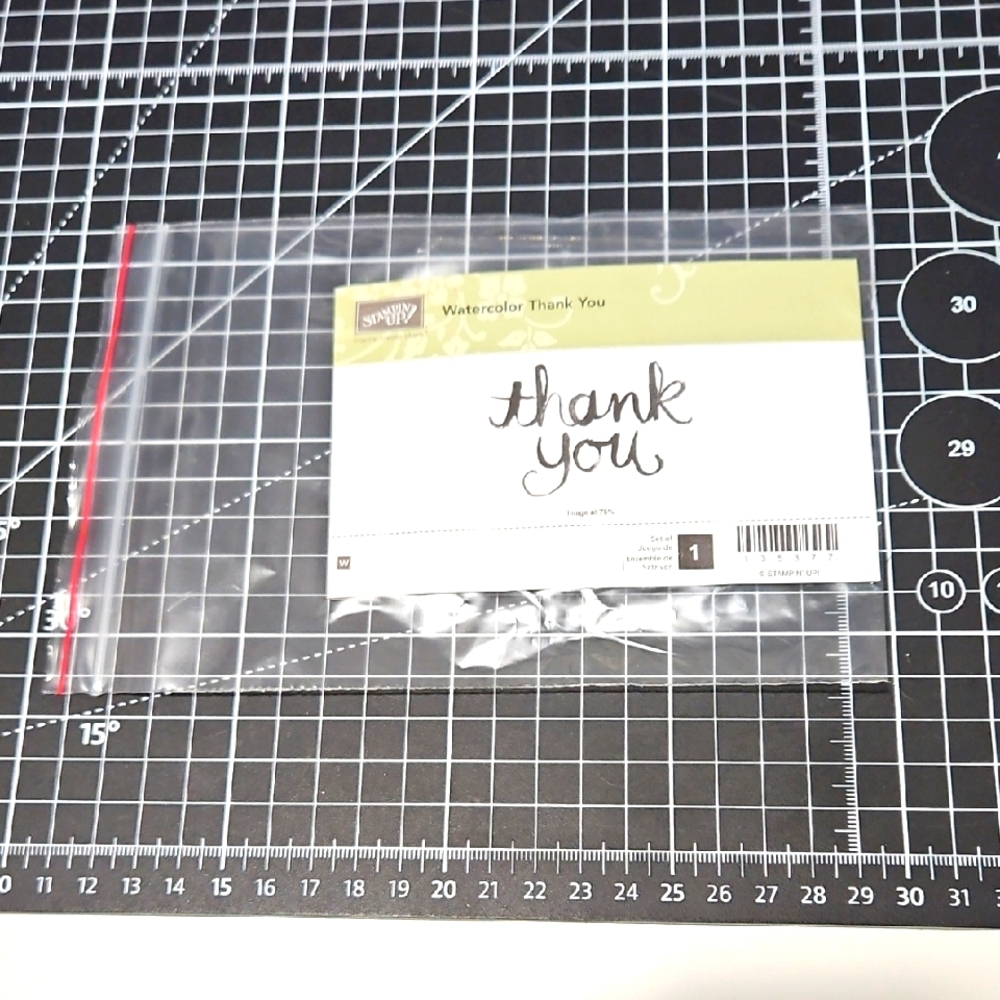 WATERCOLOR THANK YOU Stampin' Up!  Stamp